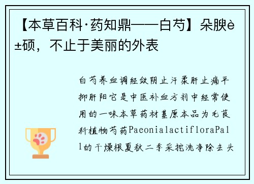 【本草百科·药知鼎——白芍】朵腴花硕，不止于美丽的外表