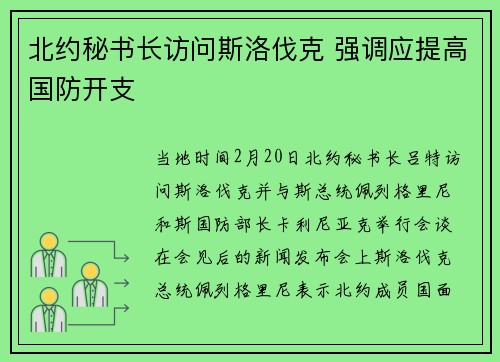 北约秘书长访问斯洛伐克 强调应提高国防开支