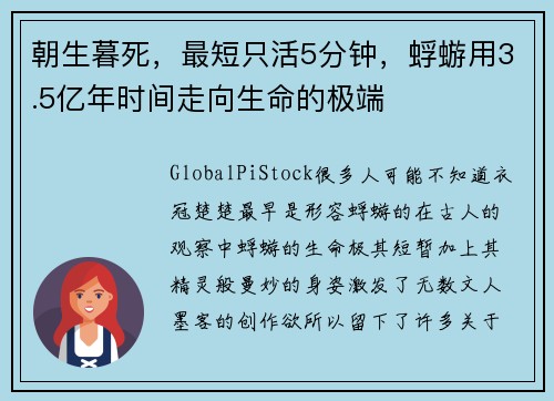 朝生暮死，最短只活5分钟，蜉蝣用3.5亿年时间走向生命的极端