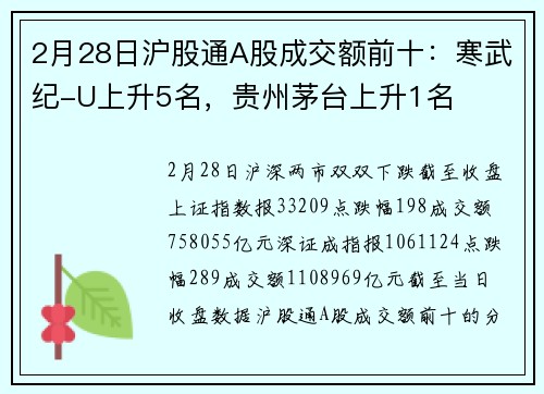 2月28日沪股通A股成交额前十：寒武纪-U上升5名，贵州茅台上升1名