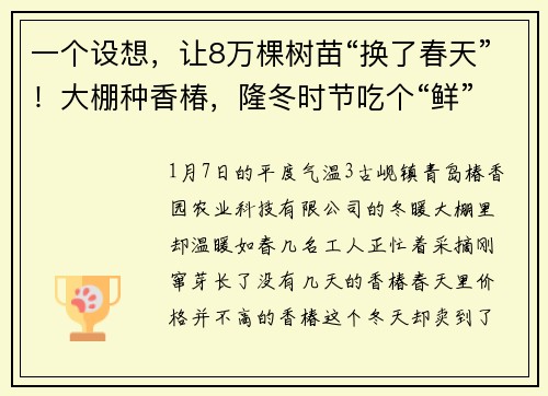 一个设想，让8万棵树苗“换了春天”！大棚种香椿，隆冬时节吃个“鲜”