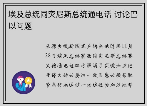 埃及总统同突尼斯总统通电话 讨论巴以问题