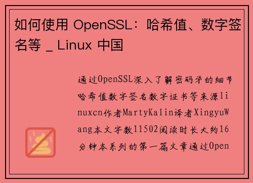 如何使用 OpenSSL：哈希值、数字签名等 _ Linux 中国